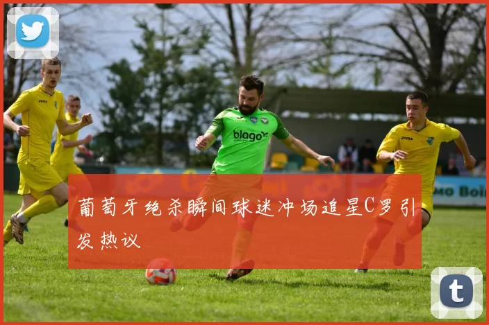 葡萄牙绝杀瞬间球迷冲场追星C罗引发热议